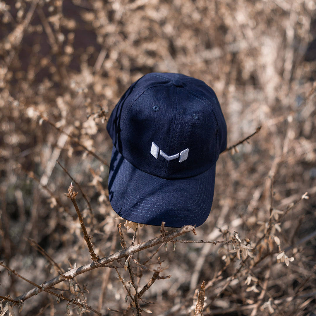Blue Wheels Dad Hat